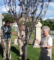 Sisters of the Holy Cross mark beatification of founder