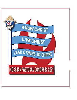 New format for Diocesan Pastoral Congress